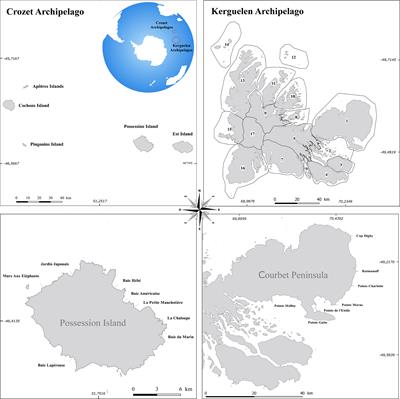 Estimation of total population size of southern elephant seals (Mirounga leonina) on Kerguelen and Crozet Archipelagos using very high-resolution satellite imagery